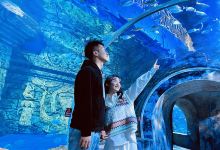 宁夏幻太奇海洋公园景点图片