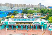 海合安武汉极地海洋公园景点图片