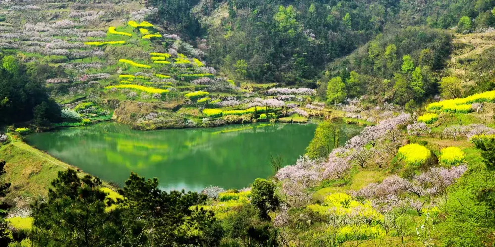 永安旅遊
