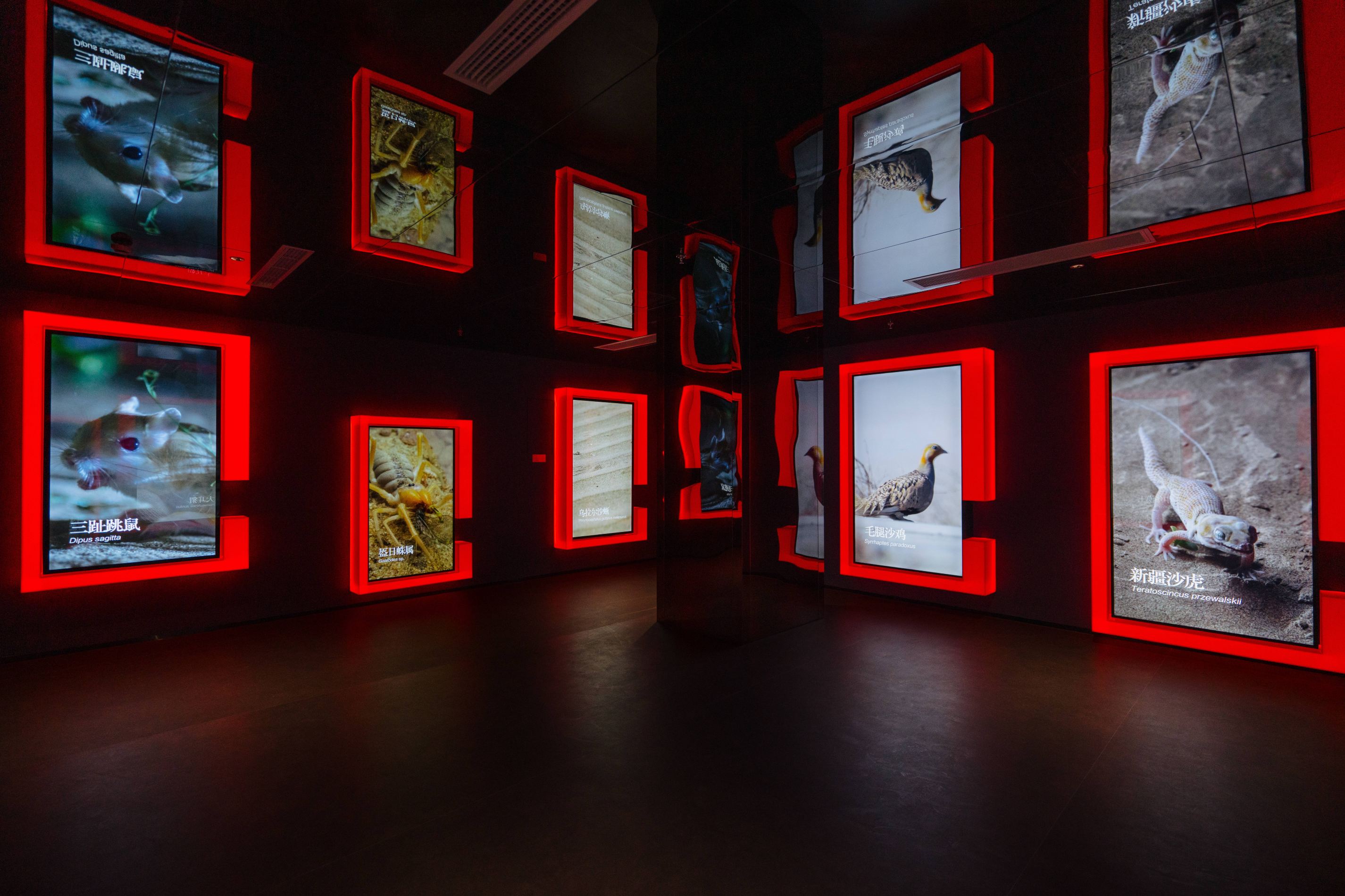 Gallery 1