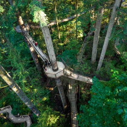 加拿大多伦多+金斯顿+渥太华+魁北克城+蒙特利尔12日11晚私家团