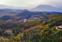 山王坪喀斯特国家生态公园景点图片