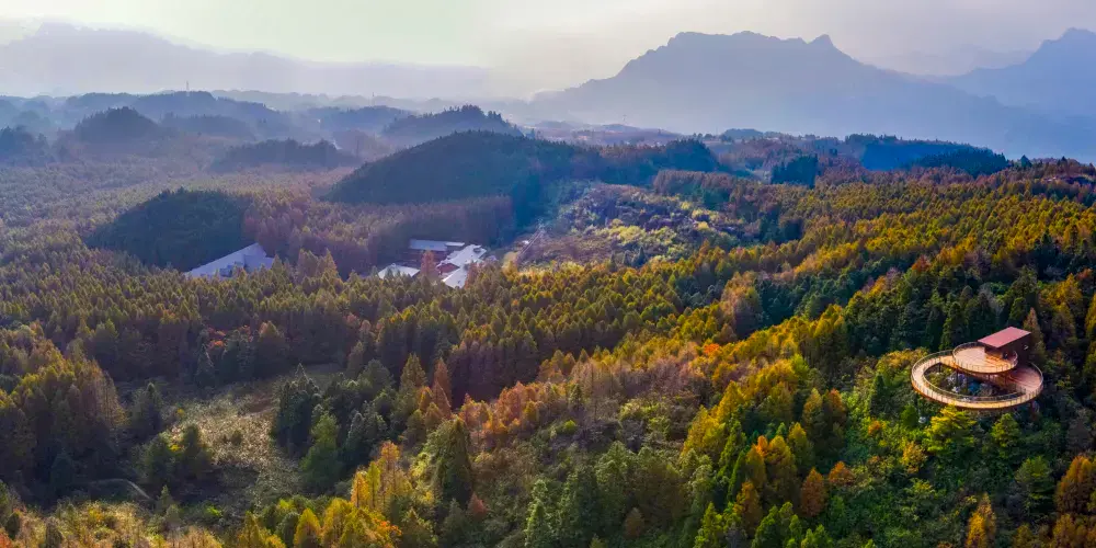 永安旅遊