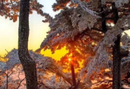 安吉龙王山风景区景点图片