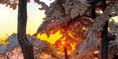 黃浦江源龍王山(長潭村)