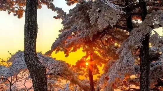 黃浦江源龍王山(長潭村)