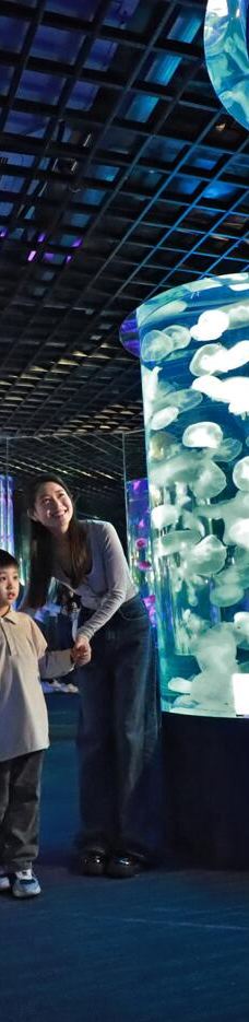 郑州海洋馆-郑州