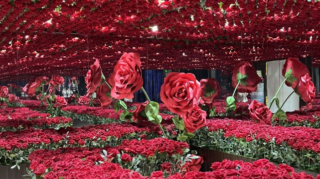 策大师|了不起的艺术大师·从莫奈到梵高艺术装置展