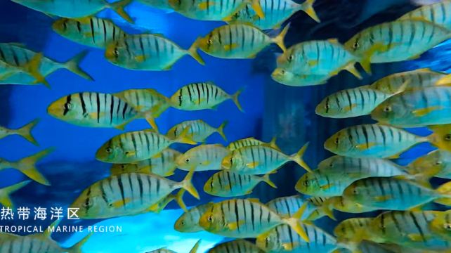 兰州极地海洋世界