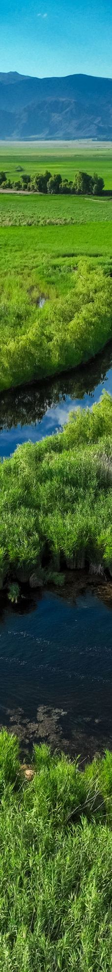 那拉提国家湿地公园-新源