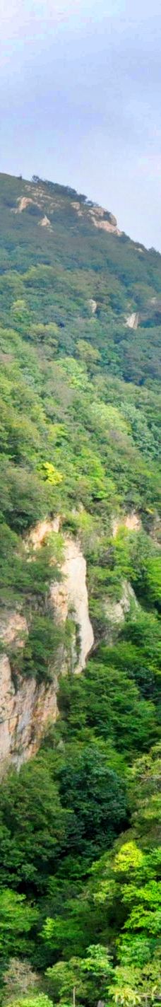 田王寨景区-随县