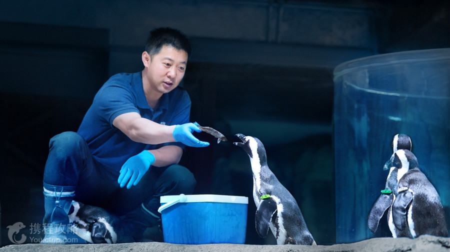 上海長風海洋世界