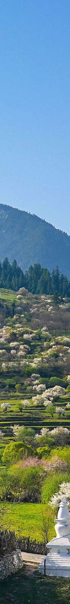 九寨华美胜地旅游度假区-九寨沟