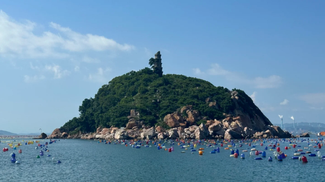 汕头南澳岛捕鱼海钓基地