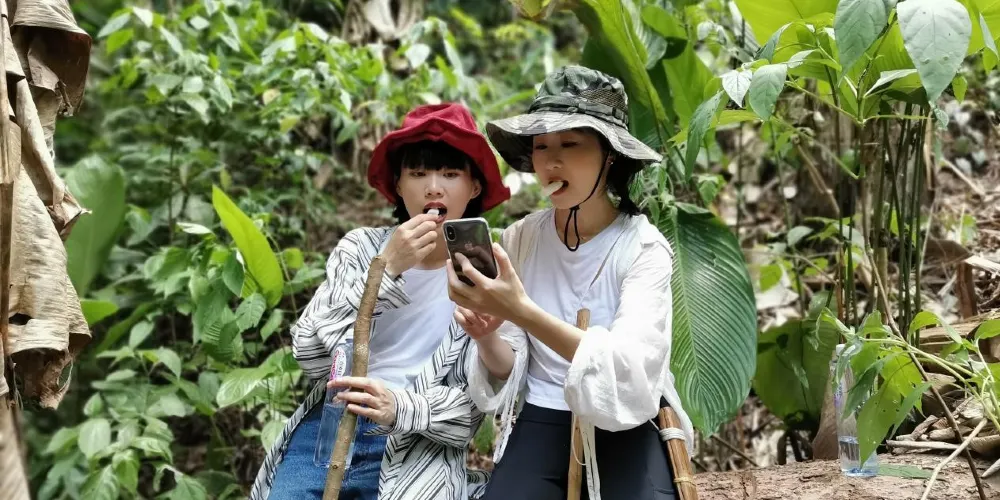 永安旅遊