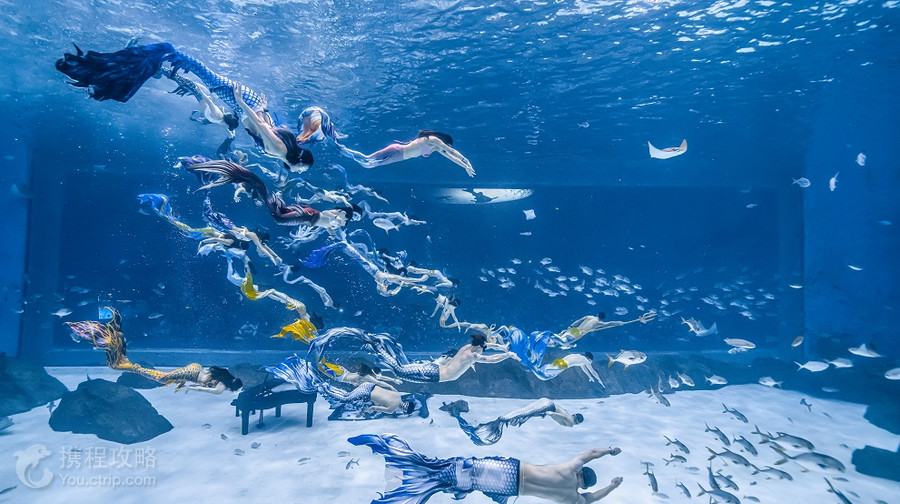 上海海昌海洋公園