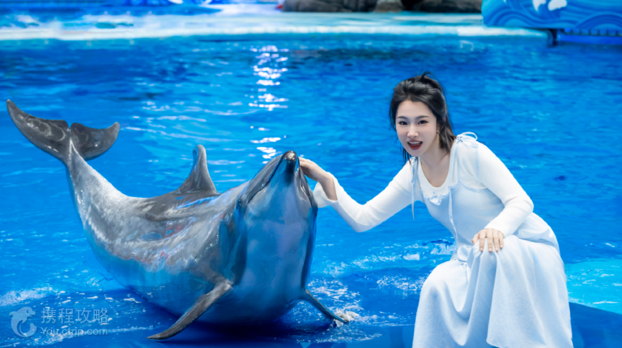 成都極地海洋公園