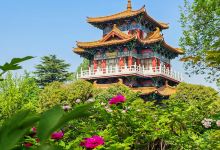 王城公园景点图片