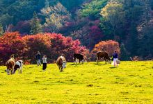 长白山溪谷景区景点图片