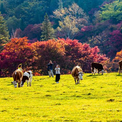 集安+临江3日2晚跟团游