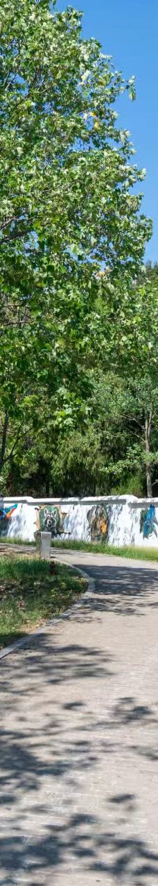 桐城动物园-桐城