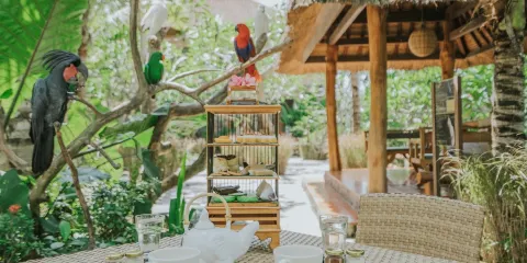 龍目島野生動物園