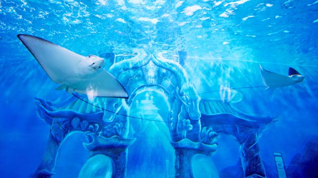 中鱼视界·城市欢乐场