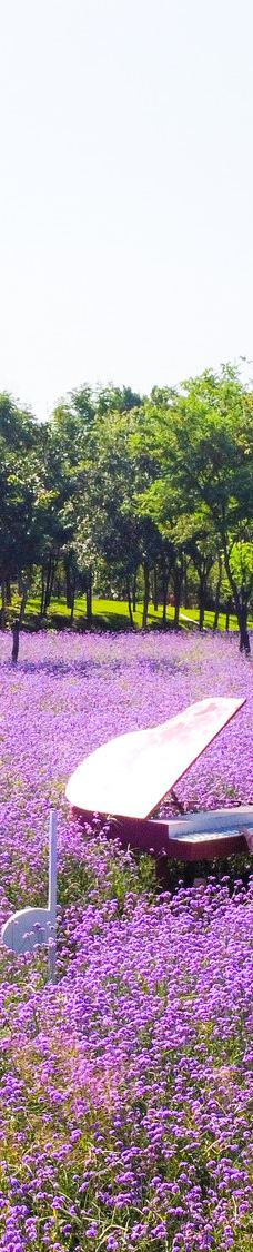 郑州中国绿化博览园-中牟