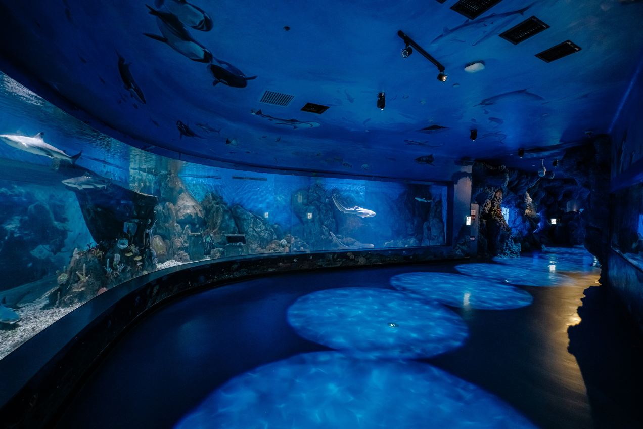 Gallery 2