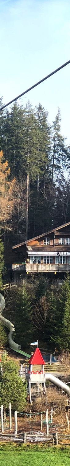 皮拉图斯山-阿尔卑纳赫