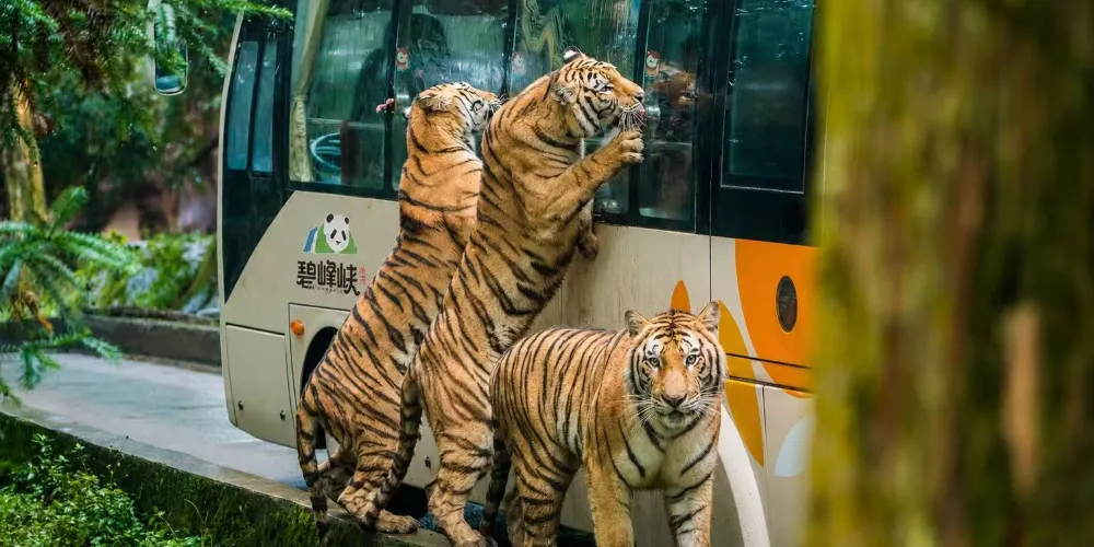 永安旅遊