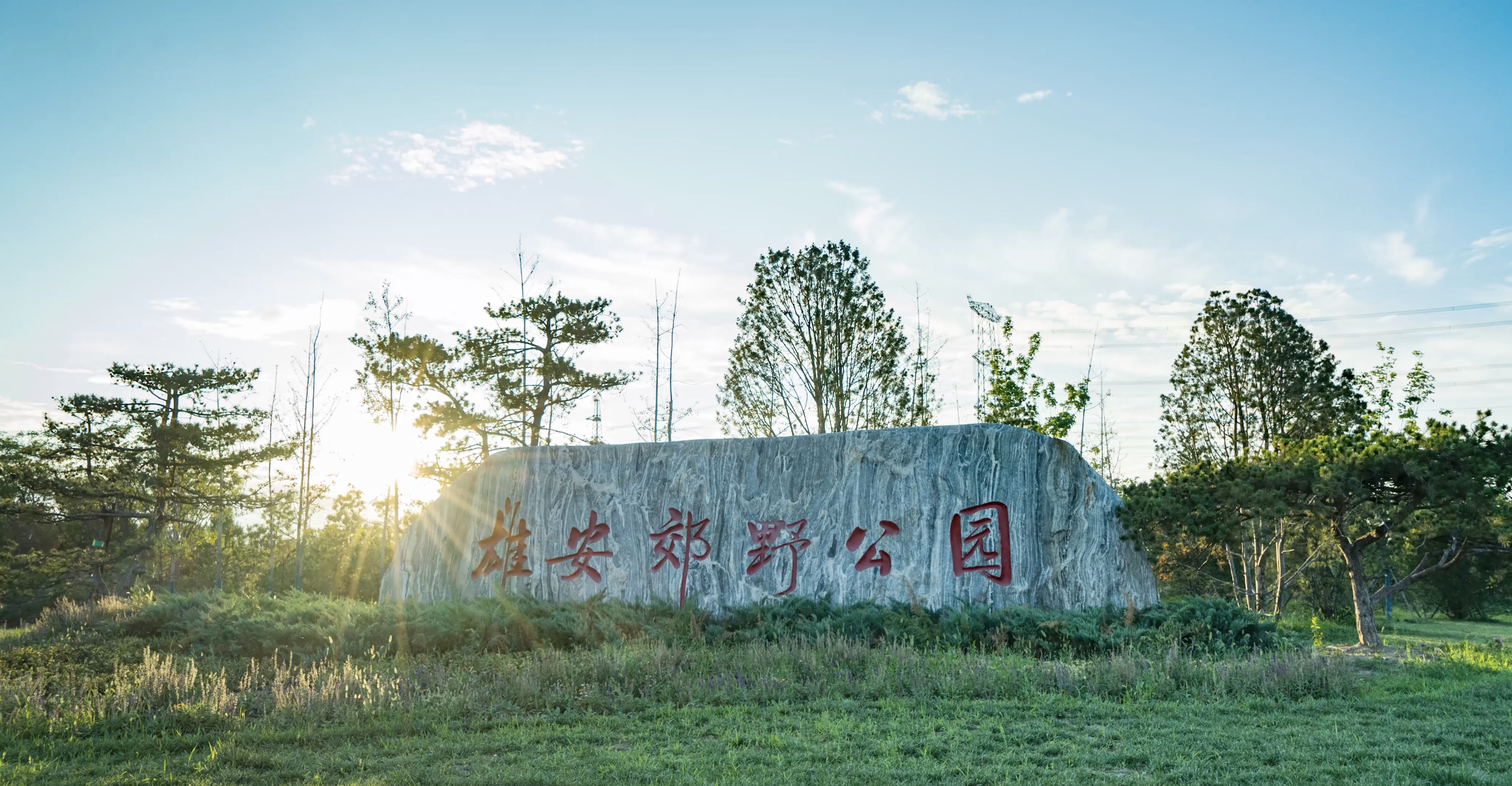 雄安郊野公园