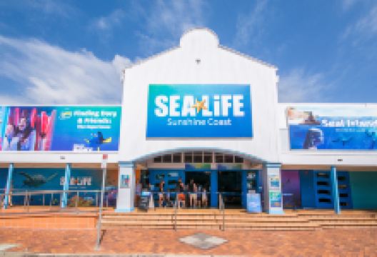 阳光海岸水族馆景点图片