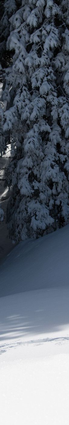 皮拉图斯山-阿尔卑纳赫