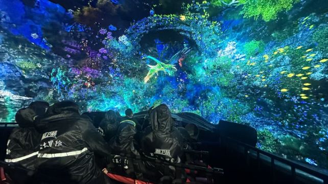 百慕大冒险(民生百货骡马市店)