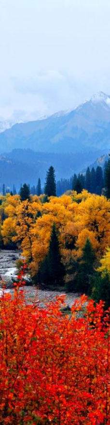 库尔德宁景区-巩留