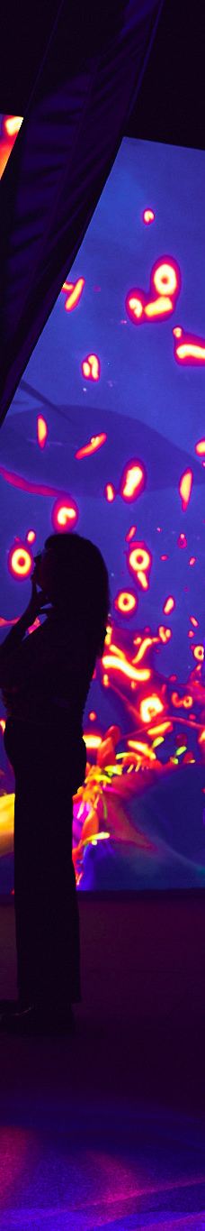 墨尔本博物馆-卡尔敦