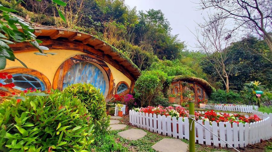 哈比丘茶树森林