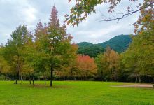 十万大山国家森林公园景点图片