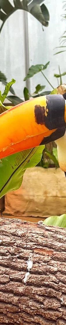 兰阳动植物王国-宜兰