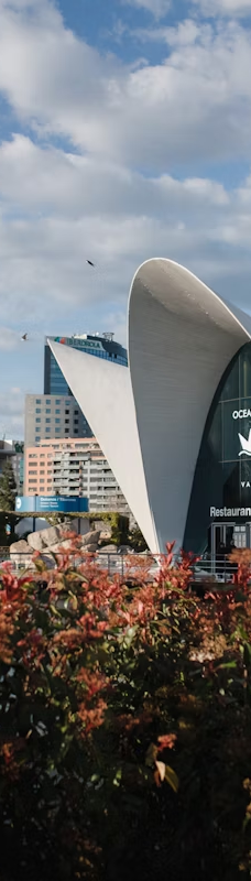 瓦伦西亚海洋公园-瓦伦西亚