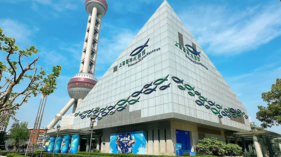 上海海洋水族館