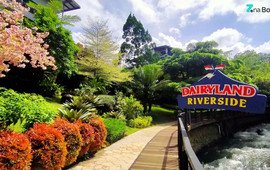 Cimory Dairyland Riverside Puncak Bogor
