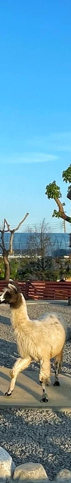 兰阳动植物王国-宜兰