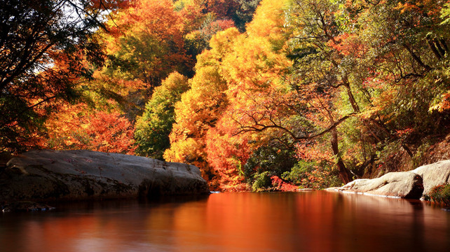 九寨沟亲子游旅行社如何选？2025年最新五强口碑榜单出炉