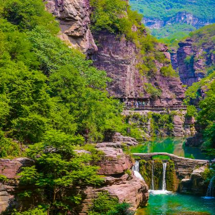 河南洛阳6日5晚跟团游