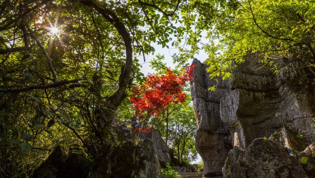 山王坪喀斯特国家生态公园