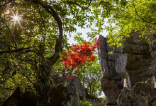 山王坪喀斯特国家生态公园景点图片