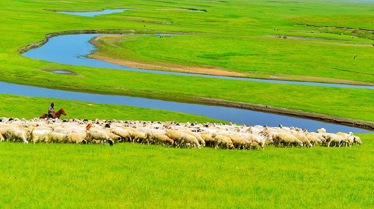3-Day China + Inner Mongolia + Hulunbuir Grasslands + Moergle River Scenic Area + Ergun Wetland Park
