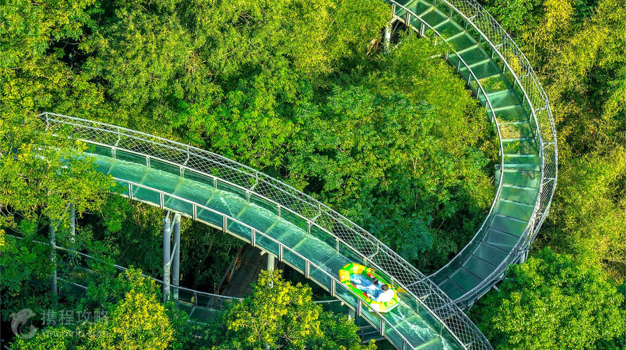 OMG心跳樂園